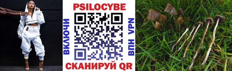 Псилоцибиновые грибы GOLDEN TEACHER  Купить закладки  Каменка 
